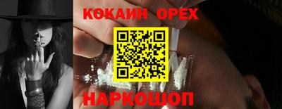 a pvp Гатчина