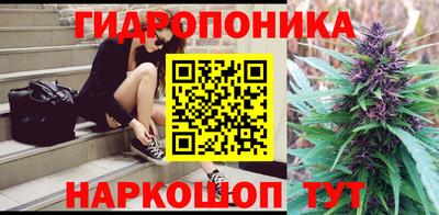 a pvp Гатчина