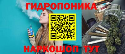 a pvp Гатчина