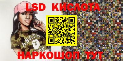 стаф Берёзовский