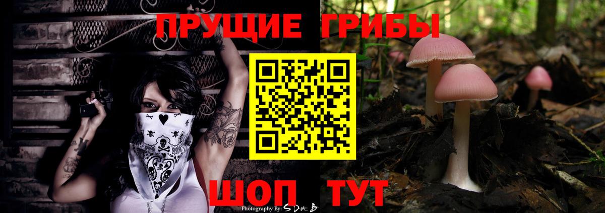 Галлюциногенные грибы Psilocybe  Жигулёвск  Псилоцибиновые грибы мухоморы 